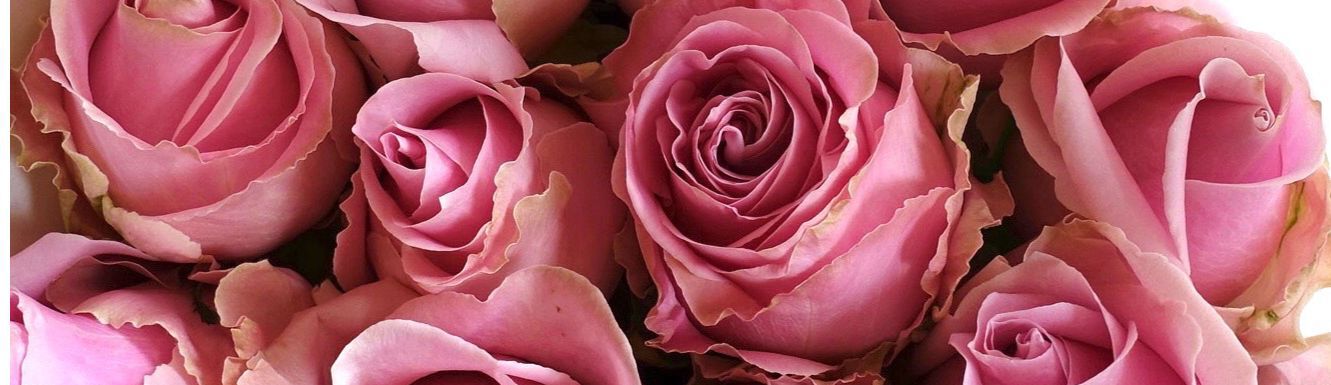 商品紹介 ピンク色のバラ Of フラワーサロンrosy 商品紹介 ピンク色のバラ Of フラワーサロンrosy